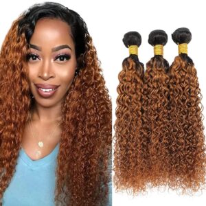 3 Bundles of Ombre Curly Hair Bundles Brown Human Hair Kinky Curly Wave CD687