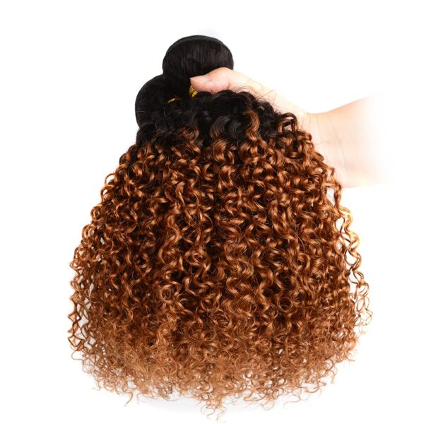 3 Bundles of Ombre Curly Hair Bundles Brown Human Hair Kinky Curly Wave CD687 - Image 2